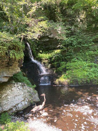 Bushkill Falls - 2020 What to Know Before You Go (with Photos ...