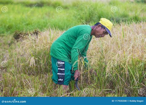 Filipino Agriculture 的图像结果
