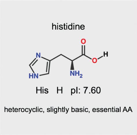 Amino Acid Quiz Drawing at Toni Esser blog