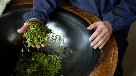 Image result for How to Process Tea