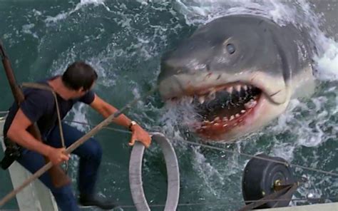 5分钟看完《大白鲨》，42年前上映的恐怖灾难片，很多人的童年噩梦，现在看也很经典！_哔哩哔哩 (゜-゜)つロ 干杯~-bilibili