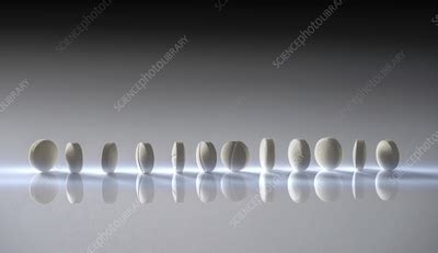 Pills 的图像结果