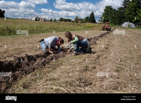 Small Acres 的图像结果