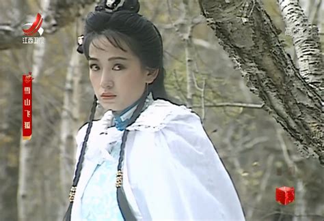 雪山飞狐(2007年聂远、安以轩主演的电视剧)_搜狗百科