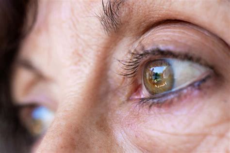 Women may age fastest during their 30s and 50s - ScienceX Innovations