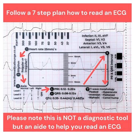 XRSP 2PCS ECG 7 Step Ruler, Plastic Ruler for ECG/EKG India | Ubuy