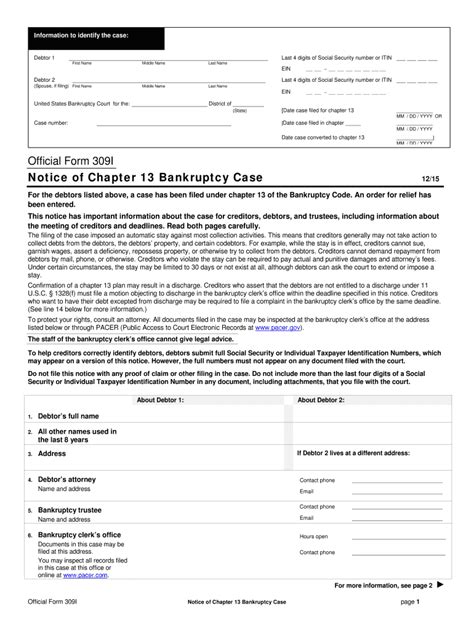 Official Form 309I - Fill Online, Printable, Fillable, Blank - pdfFiller