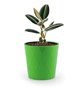 Green Space Diamond Cut Small Indoor/Outdoor Planting Pot with Inner ...