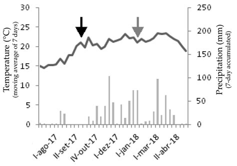 Effects of Seasonal Variation on Nitrogen Use in Brazilian Cerrado ...