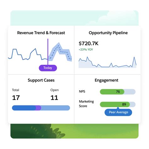 Image result for Different Analytics in Salesforce