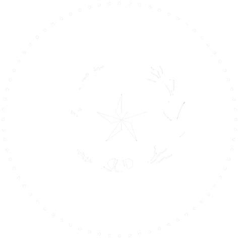 Inmate - How To Send Money or Care Packages | Rockwall County-Official ...