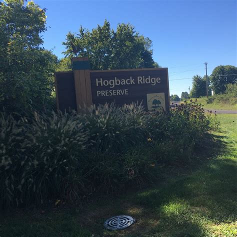 HOGBACK RIDGE PRESERVE (2025) All You Need to Know BEFORE You Go (with ...