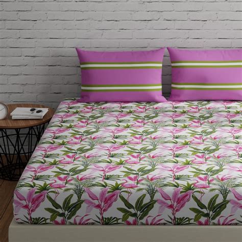 Huesland by Ahmedabad Cotton 144 TC Double Bedsheet Cotton King Size ...