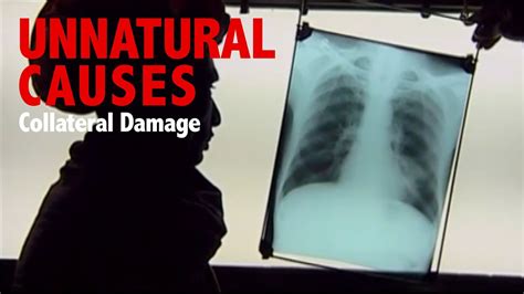 Image result for Collateral Damage