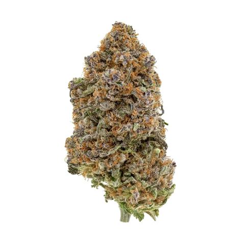 Animal Cookies Strain: Effects, Flavors & Growing Tips – Hey abby