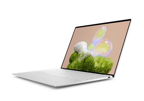 Dell XPS 13 Laptop 的图像结果