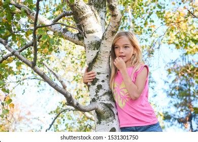 Climbing Tree 的图像结果
