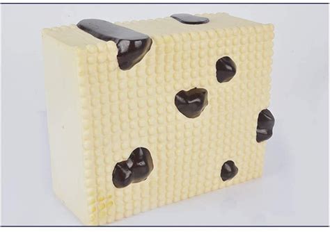 Buy Cell Membrane Model - Model of Cell Membrane - Educational Model ...