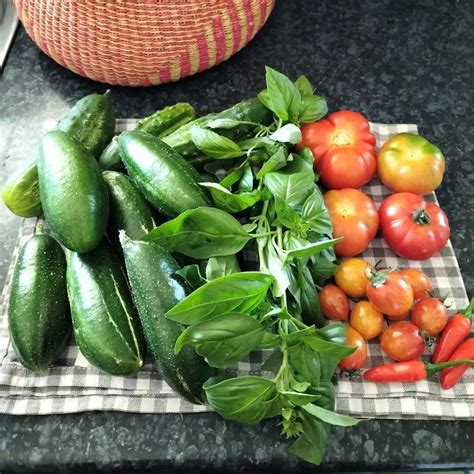 Planning Meeting, 66 Auburn St, Goulburn, 25 February 2024 | AllEvents