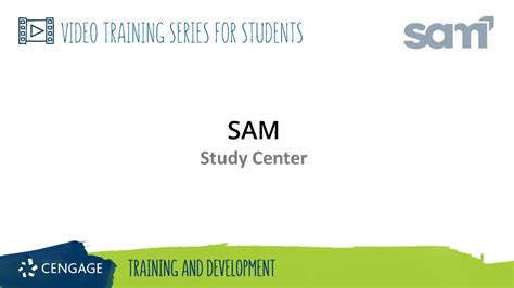 Sam Training 的图像结果