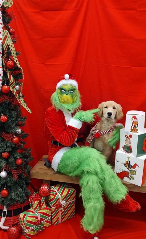 Photos with THE GRINCH , Canine Cloud Nine, Carmel, 12 December 2023 ...