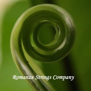 Romanze Strings Company | eBay Stores