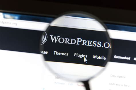 WordPress Programming 的图像结果