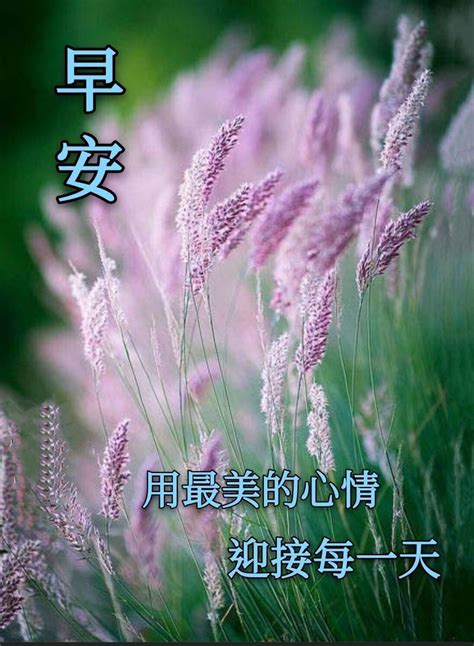 早安 Good Morning | Good morning friends quotes, Good morning friends ...