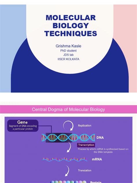 Molecular Tools and Techniques | PDF