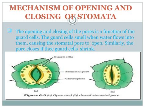 Image result for Life Process Biology