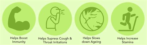 UTMT Under the Mango Tree Himalayan Flora Honey, 200 g – 100% Pure ...