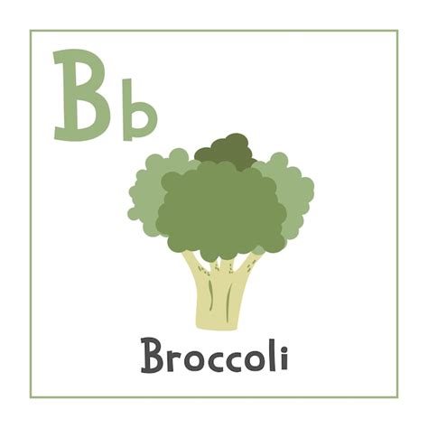 Premium Vector | Broccoli clipart broccoli vector illustration cartoon ...