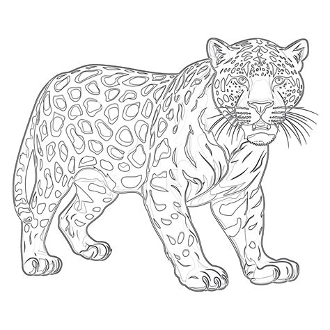Coloring Pictures Of Jaguars | Coloring Pages Mimi Panda