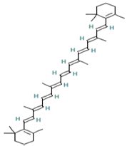 Implementation of System Pharmacology and Molecular Docking Approaches ...