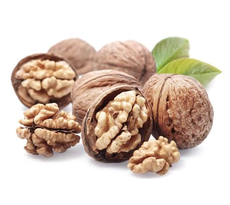 Ingredient for your Intelligence - Posters by Sina Irani | Buy Posters ...