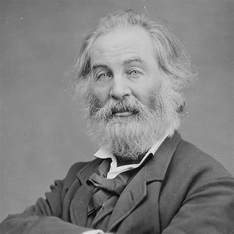 Walt Whitman Leaves Of Grass | Summary, Walt Whitman, Poems, Banned,