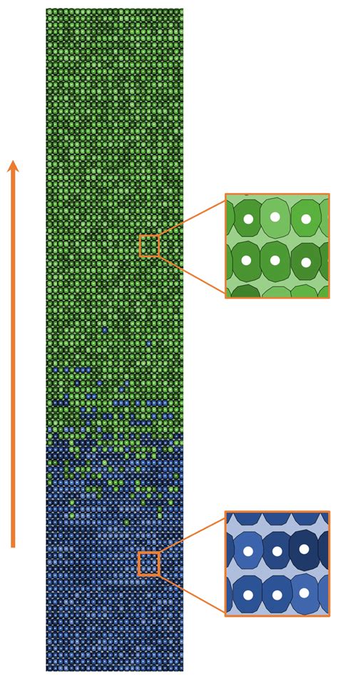 Exploring the Role of Genetic and Environmental Features in Colorectal ...