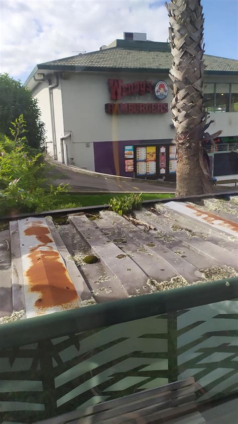 Average bus stop roof : r/AveragePicsOfNZ