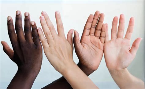 Image result for Evolution Human Body