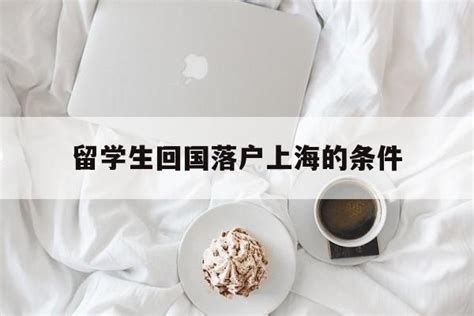 简洁的留学回国人员申办上海常住户口申请表(标准版)Word模板下载_熊猫办公
