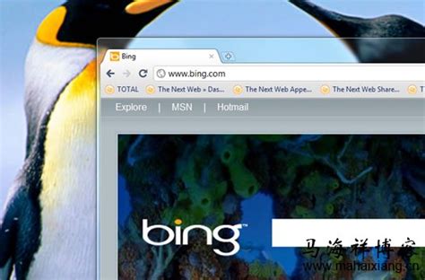 Bing搜索引擎，微软Bing搜索 | SEO资源网