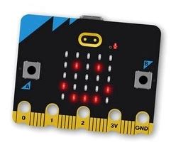 Image result for Carte Micro Bit Programme