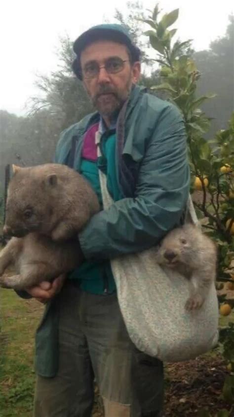 Local spotlight mac tabby cat cafe charlotte nc – Artofit