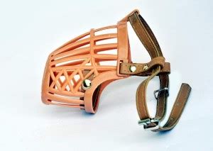 HEALTHY AND LOVING PETS Medium Strips Dog Muzzle Price in India - Buy ...