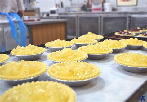 Frozen Shortcrust Shells (Sweet) - Medium - Australian Bakels