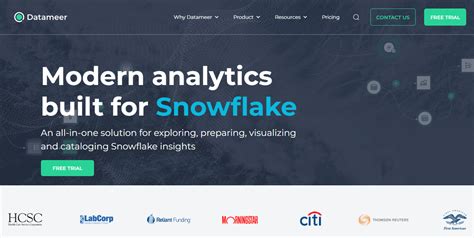 Snowflake Data Tool 的图像结果