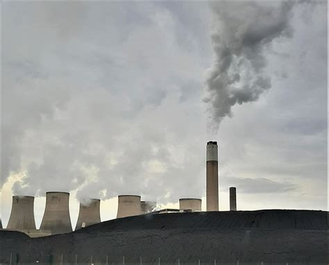 Using Yard Waste as Fuel 的图像结果