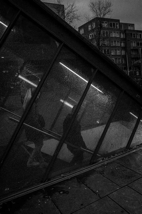 Why Everyone Is Talking About Sophie Rain - Truth or Fiction