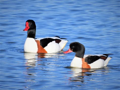 Creative Commons Images 的图像结果