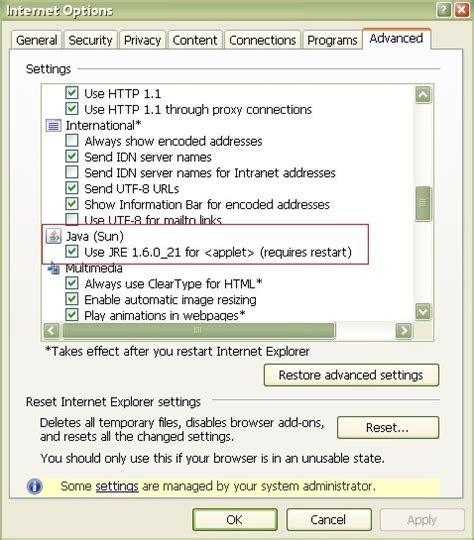 Internet Java 的图像结果